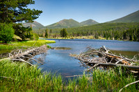 Tangled Up In Blue - Rocky Mountain NP. CO.
