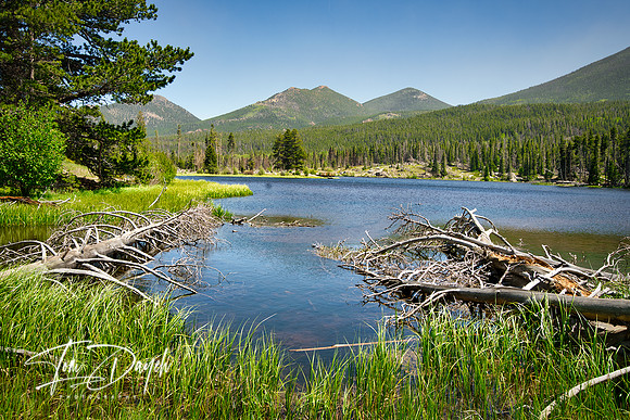 Tangled Up In Blue - Rocky Mountain NP. CO.