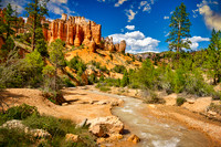 Along The Hoodoos - Bryce Canyon NP. Utah