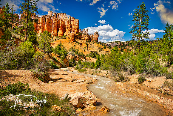 Along The Hoodoos - Bryce Canyon NP. Utah