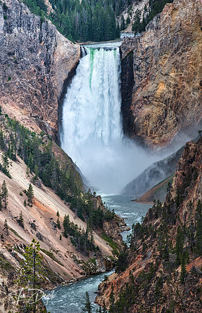 Yellowstone Falls, Yellowstone NP