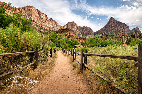 The Path - Zion NP. Utah