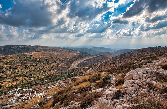 Rays Of Hope - West Bank, Palestine